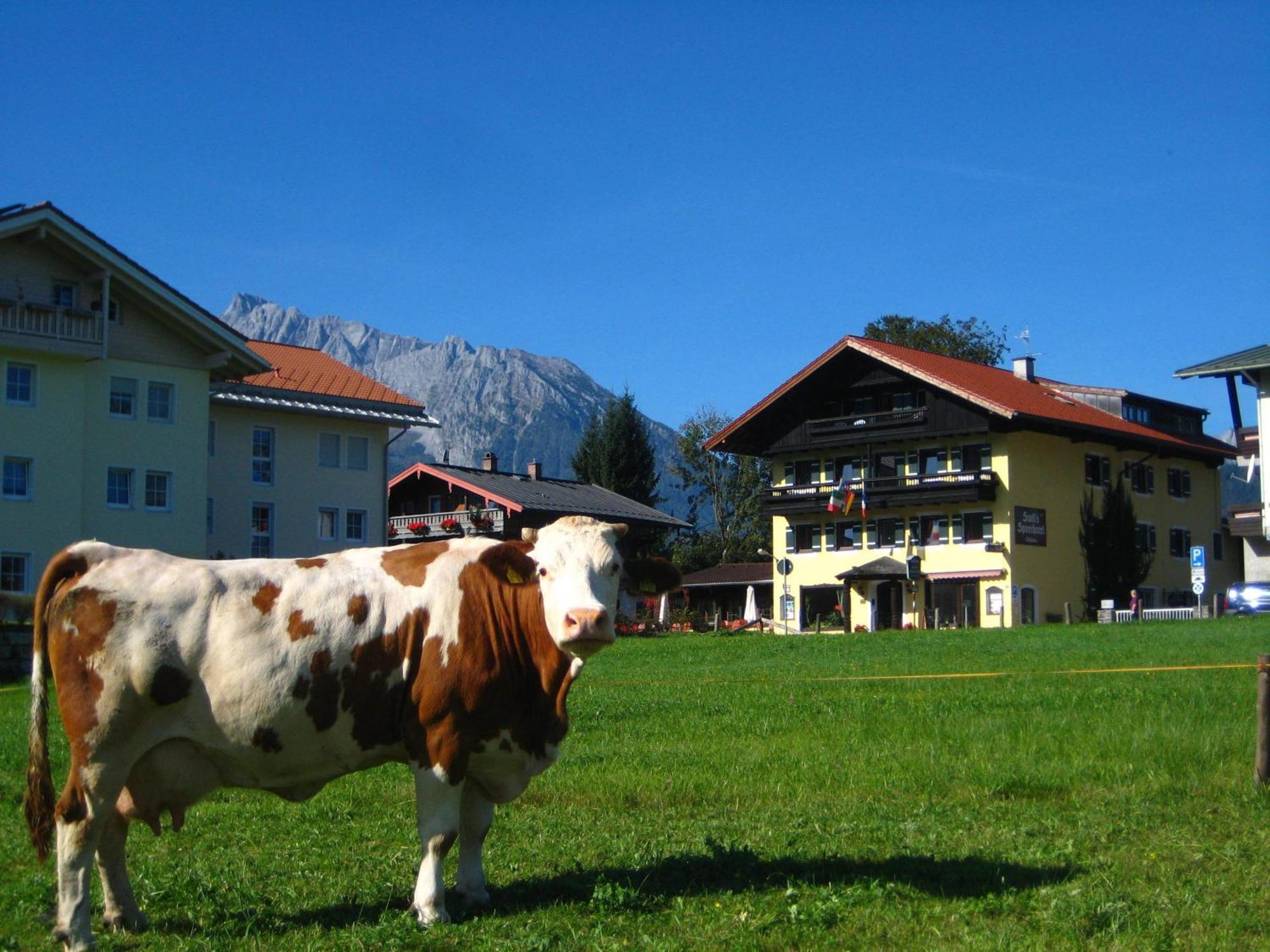 Stoll's Sporthotel Schoenau am Koenigsee