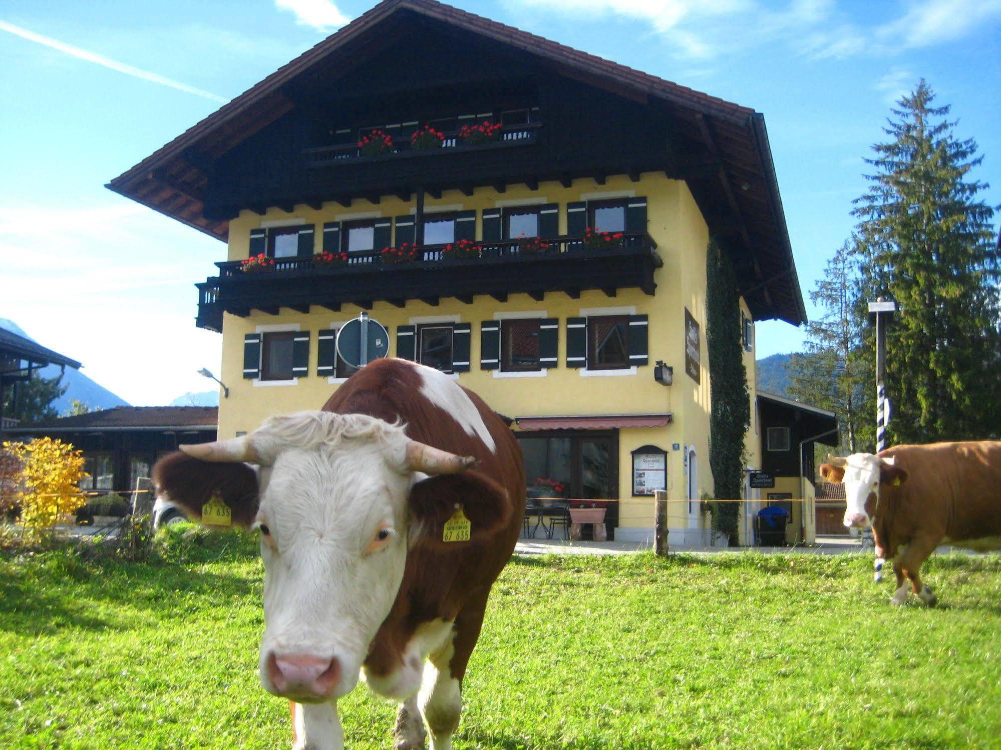 Stoll's Sporthotel Hotel 3*